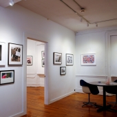 View from the exhibit