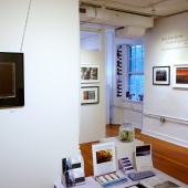View from the exhibit