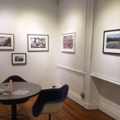 View from the exhibit
