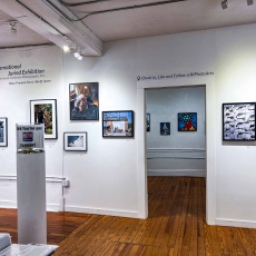 11-RICPA-11th-International-8px-LRe-6877 11-RICPA-11th-International-8px-LRe-6877