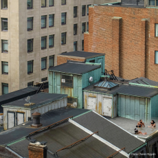 Diana-Cheren-Nygren_D_3-copy