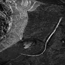 Frozen Form © by Buddy Baker-Smith