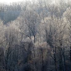 Winter Light on Woolman Hill © by Buddy Baker-Smith