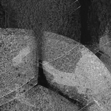 Surprise © by Deb Ehrens