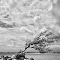 Untitled © by Krysten Gibb