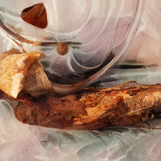 One Eyed Puss © by George Lowell