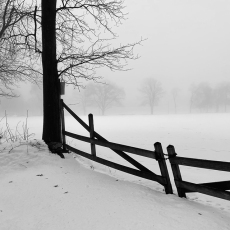 Wheeler Gate © by Martha Manno