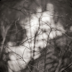 Small Kingdoms 9 © by Ralph Mercer