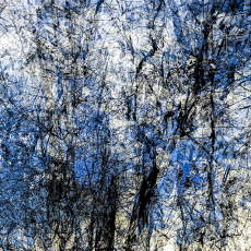 Highland Trail, Croton-on-Hudson