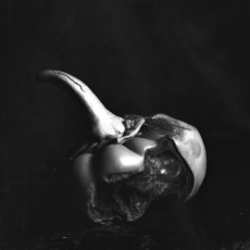 On the Edges © by Vanessa R Thompson