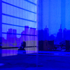 Looking out the Blue Window © by Philip Tuths