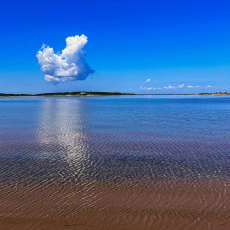 Calming Waters