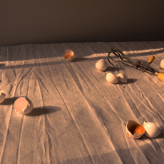 Untitled (eggs)