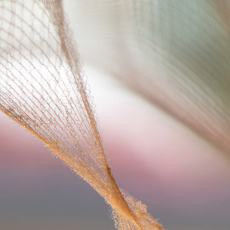 What Has Become of Me