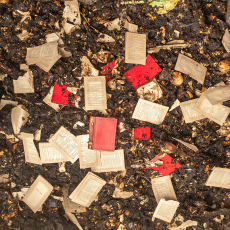 Recomposing Shakespeare: Taming of the Shrew