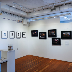 Spotlight-Installation-DDR0135701357