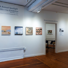 Spotlight-Installation-DDR0135801358