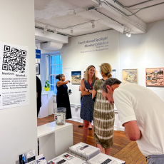 Spotlight-Installation-IMG_04840484