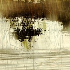 Saltworks: Etched by Reeds