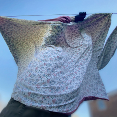 Clothes in the Wind