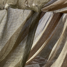 Veiled
