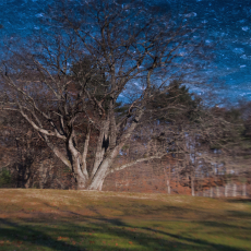 Camera Obscura composite #5