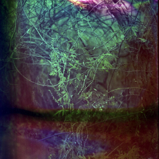 Happy Accident