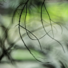 Within and Without, Meditation 3