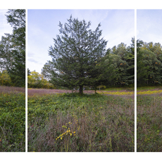 Trail at Balls Hill Road © by Linda Hammett Ory