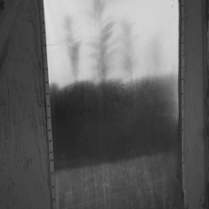 Inside - Outside © by  Gail Samuelson