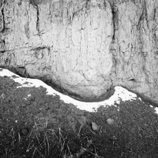 © by Andrew Epstein