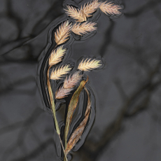 2 © by Lisa Redburn