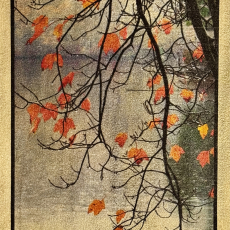 Drizzle VII © by Christine Acebo