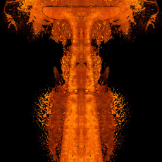 Marble Dress © by  Margaret Kauffmann