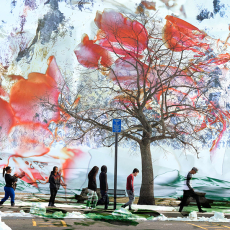 Landscape No. 3 © by Bill Gore