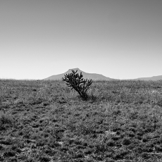 A 1 -© by Andrew Epstein