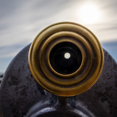 What do I See? © by Sharon Bibeault