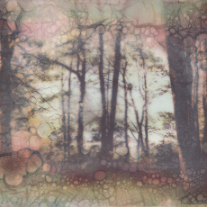 Walden Woodlands © by  Martha Wakefield