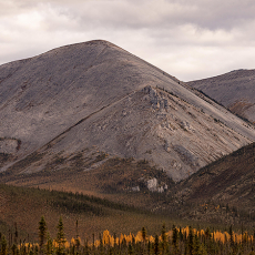 Paradiso #1 © by René Derome