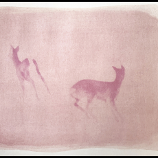 Deer on Wine, Anthotype © by Christine Acebo