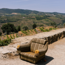 Douro Valey © by Marina Bezrukova