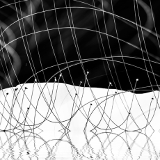 Rising Tide © Bill Clark