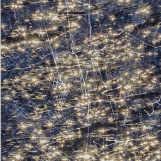 Pattern WIthin © by Barbara C Crane