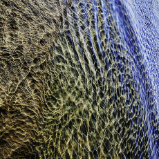 Tidal Rythms © by Barbara C Crane