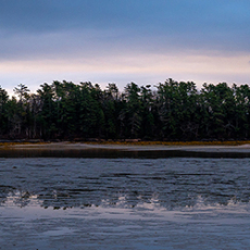 Stillwater © by Trish Gilmore