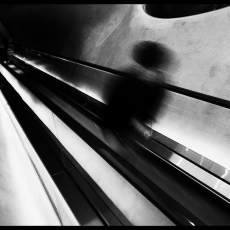 Elevator Man  © by Ed Healy