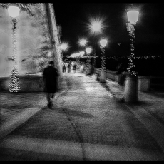Night Walk © by Ed Healy