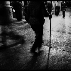 Walking Cane © by Ed Healy