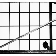 (8x10 Film Noir) Panes