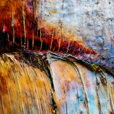 Botanical Gardens 1  © by George Lowell